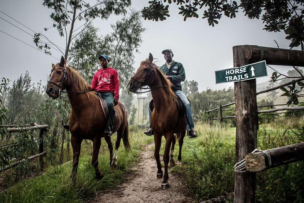 Hotel First Group Qwantani Harrismith Servizi foto